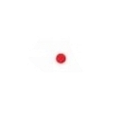 Aimpoint reticle