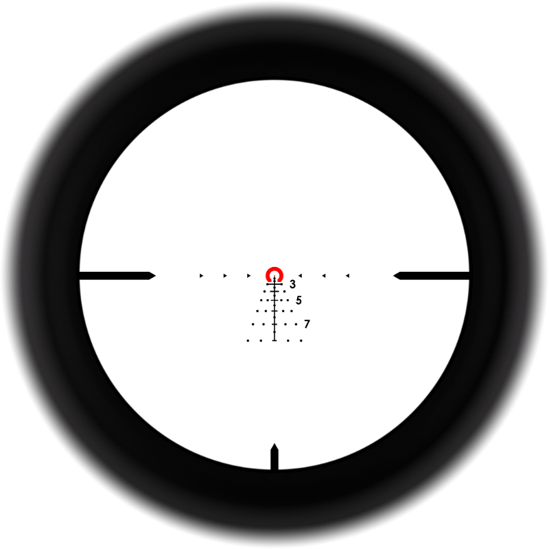 Sig Sauer DWLR 556 reticle